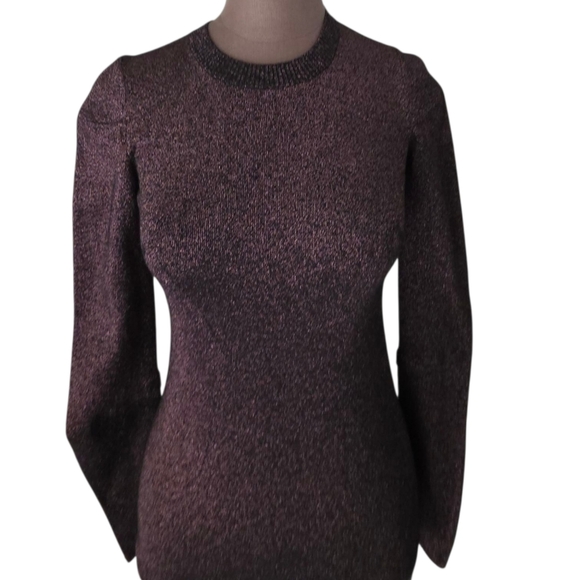 Alexander Wang Metallic Plum Shimmer Knit Sweater Size Small NWOT - Picture 5 of 16